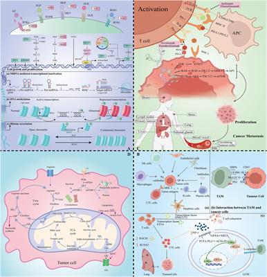 Cross-omics strategies and personalised options for lung cancer immunotherapy